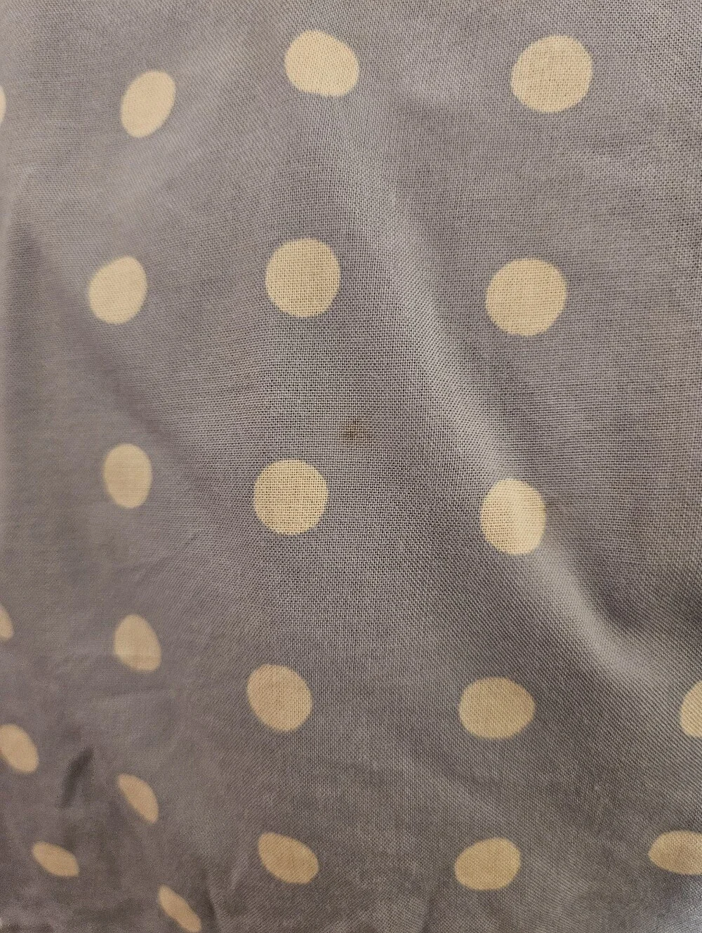 Free People Daisy Dots Mini Dress